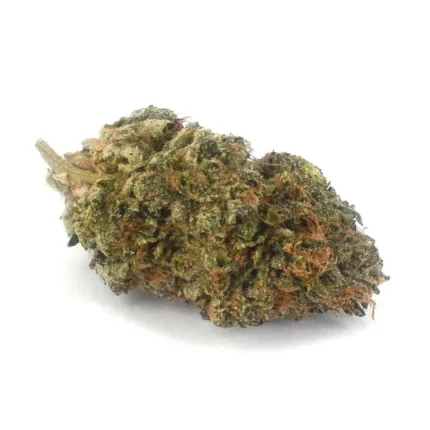 Buy Platinum Kush (AAAA) online USA