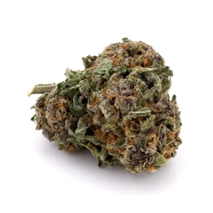 Buy Purple Passion Online USA