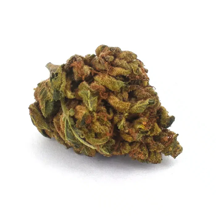 Buy Tangerine Dream online USA